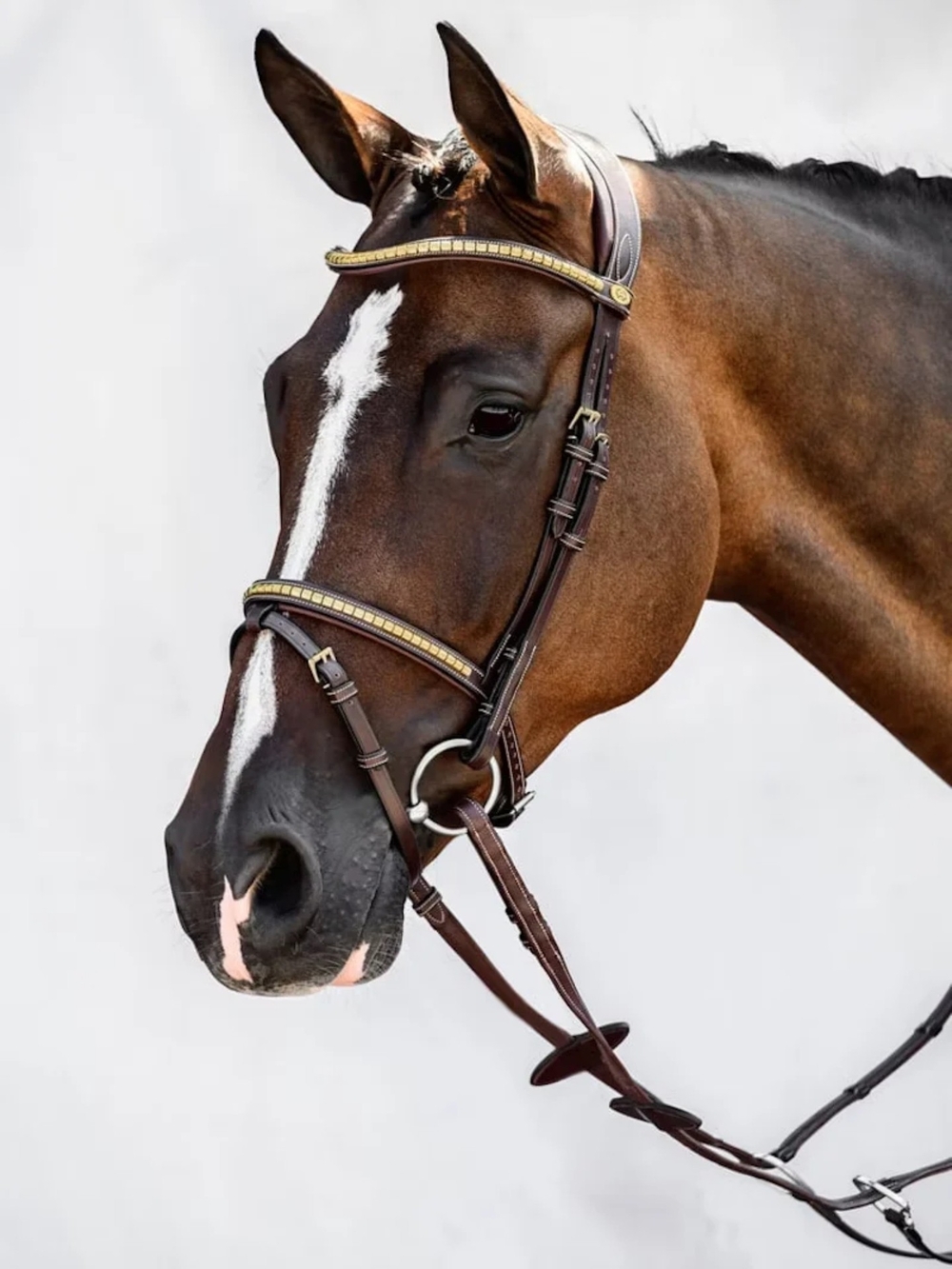 Bridle Antwerp 2.0, English Noseband, without Reins - Full